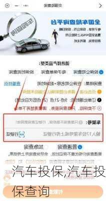 汽车投保,汽车投保查询