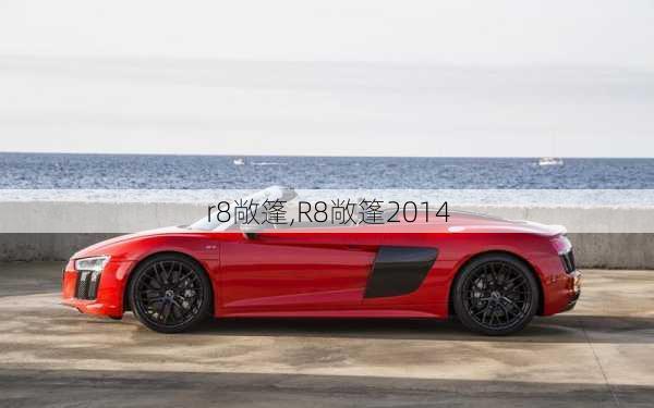 r8敞篷,R8敞篷2014