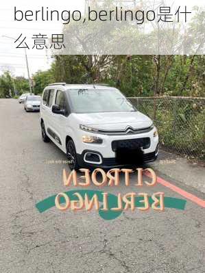 berlingo,berlingo是什么意思