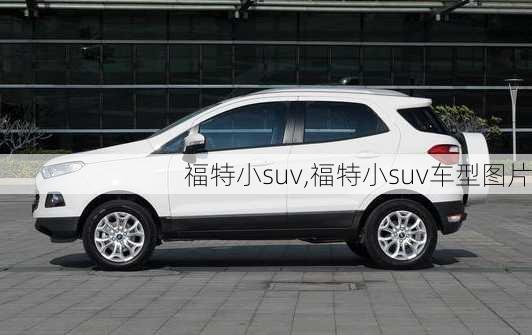 福特小suv,福特小suv车型图片