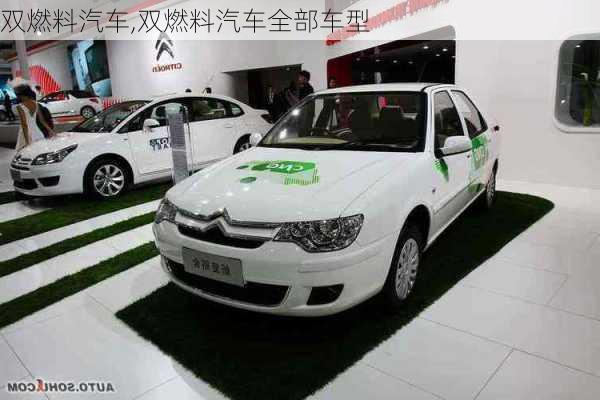 双燃料汽车,双燃料汽车全部车型