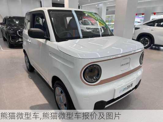 熊猫微型车,熊猫微型车报价及图片