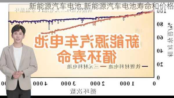 新能源汽车电池,新能源汽车电池寿命和价格