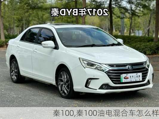 秦100,秦100油电混合车怎么样