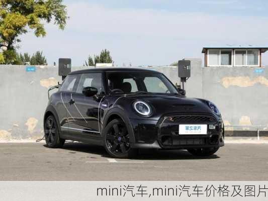 mini汽车,mini汽车价格及图片