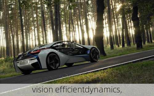 vision efficientdynamics,