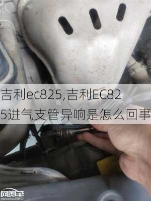 吉利ec825,吉利EC825进气支管异响是怎么回事