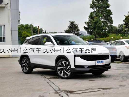 suv是什么汽车,suv是什么汽车品牌