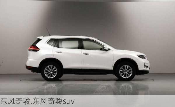 东风奇骏,东风奇骏suv