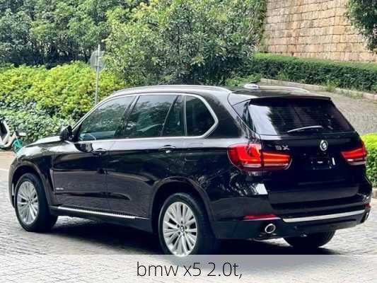 bmw x5 2.0t,