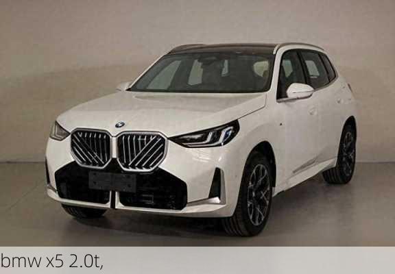 bmw x5 2.0t,