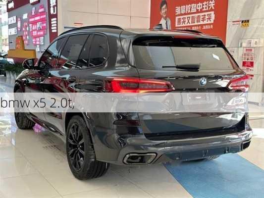 bmw x5 2.0t,