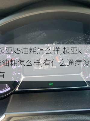 起亚k5油耗怎么样,起亚k5油耗怎么样,有什么通病没有