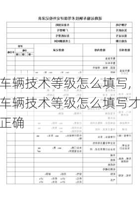 车辆技术等级怎么填写,车辆技术等级怎么填写才正确