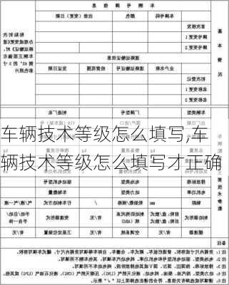 车辆技术等级怎么填写,车辆技术等级怎么填写才正确