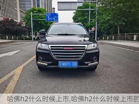 哈佛h2什么时候上市,哈佛h2什么时候上市的