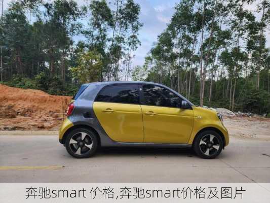 奔驰smart 价格,奔驰smart价格及图片