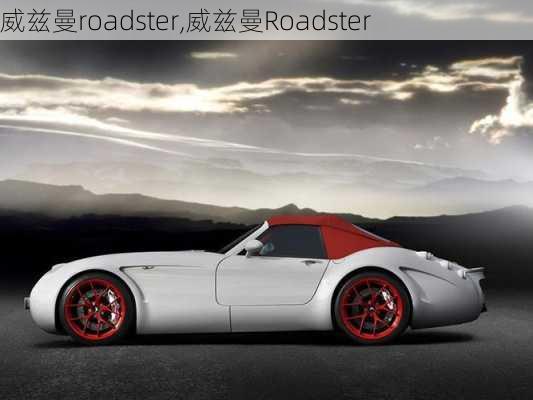 威兹曼roadster,威兹曼Roadster