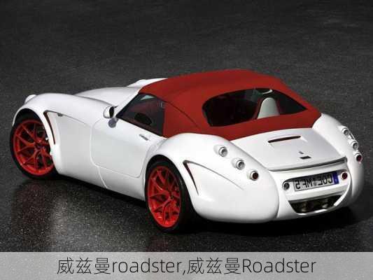 威兹曼roadster,威兹曼Roadster