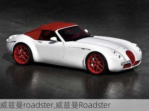 威兹曼roadster,威兹曼Roadster