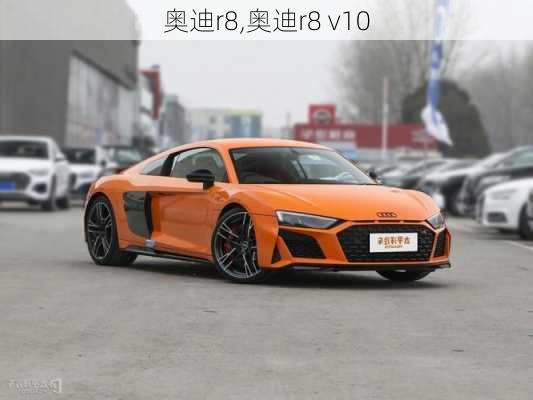 奥迪r8,奥迪r8 v10