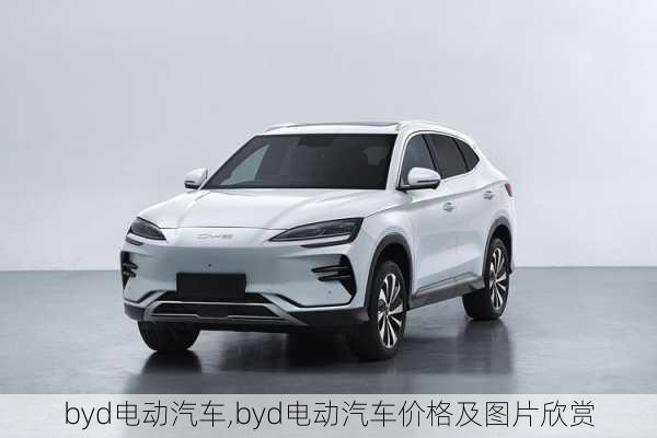 byd电动汽车,byd电动汽车价格及图片欣赏