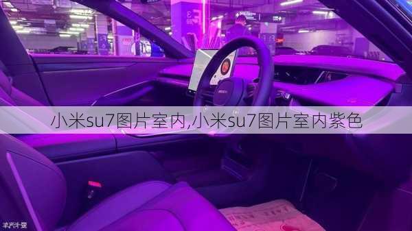 小米su7图片室内,小米su7图片室内紫色