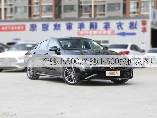 奔驰cls500,奔驰cls500报价及图片