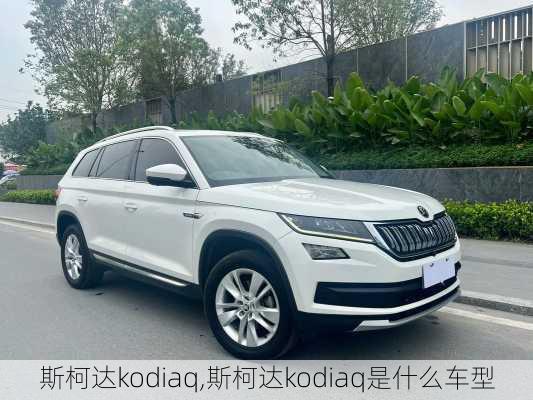 斯柯达kodiaq,斯柯达kodiaq是什么车型