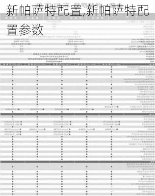 新帕萨特配置,新帕萨特配置参数