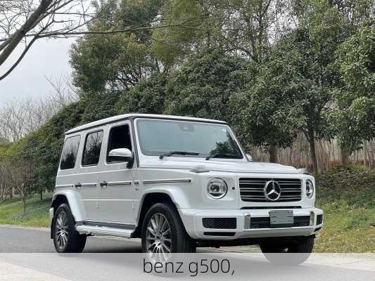 benz g500,