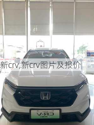 新crv,新crv图片及报价