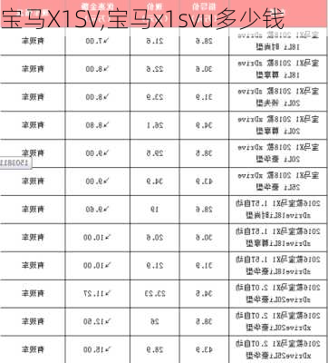 宝马X1SV,宝马x1svu多少钱