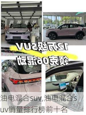 油电混合suv,油电混合suv销量排行榜前十名