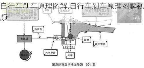 自行车刹车原理图解,自行车刹车原理图解视频