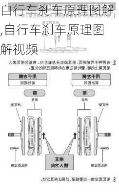 自行车刹车原理图解,自行车刹车原理图解视频