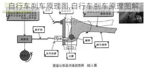 自行车刹车原理图,自行车刹车原理图解