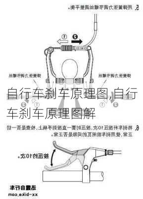 自行车刹车原理图,自行车刹车原理图解