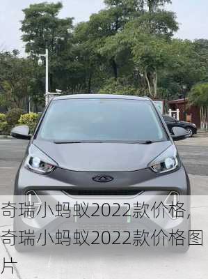 奇瑞小蚂蚁2022款价格,奇瑞小蚂蚁2022款价格图片