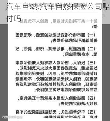 汽车自燃,汽车自燃保险公司赔付吗