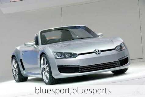 bluesport,bluesports